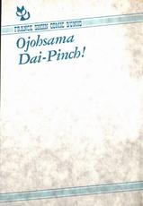 [Eri Mizushima] Ojohsama Dai-Pinch!-
