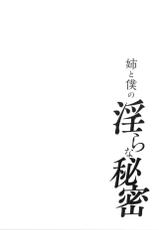 [Tohzai] Ane to Boku no Midarana Himitsu [chinese]-[東西] 姉と僕の淫らな秘密 [中国翻訳]